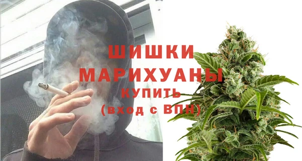 индика Волосово