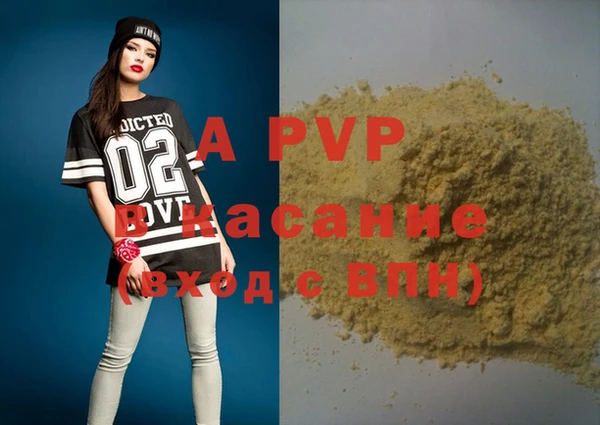 крисы Верхний Тагил