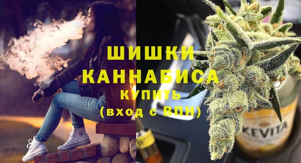 крисы Верхний Тагил