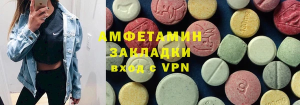 индика Волосово