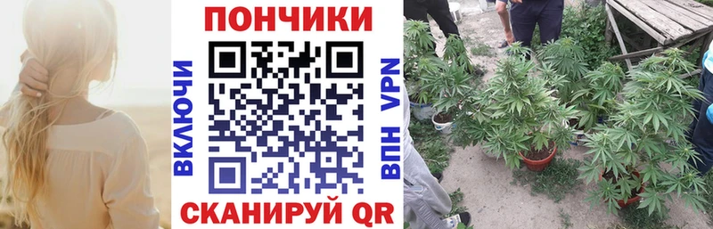 Каннабис гибрид Гаврилов Посад